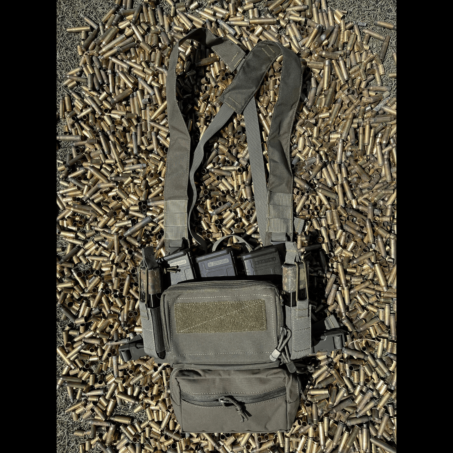 BSC Double-D Chest Rig